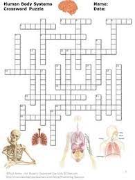 Human Body Systems Crossword Puzzle Worksheets Human Body Systems Body Systems Body Systems Middle School