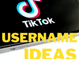 Our matched folder should contain the pictures of any student at that school. 200 Tiktok Username Ideas And Name Generator Turbofuture