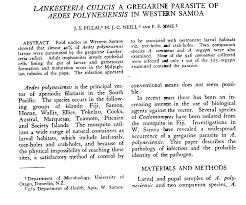 Image result for Lankesteria