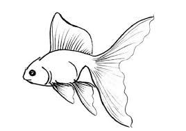 Check spelling or type a new query. 17 Contoh Sketsa Gambar Ikan Beragam Jenis Broonet