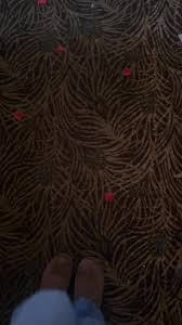 😂😂😂 happy Valentine’s Day everyone 💘💘💘💘