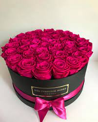 80 Mentions J Aime 3 Commentaires The Prestige Roses Switzerland Theprestigerosesswitzerland Sur I Flowers For Girlfriend Luxury Flowers Boquette Flowers