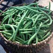 We did not find results for: The Ultimate Green Bean Guide Grow Harvest Cook Preserve An Oregon Cottage