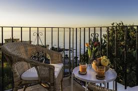 Image result for Atalaya alata