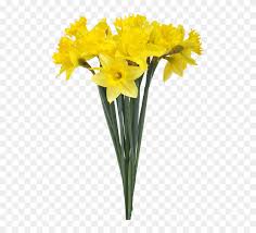 Flower bouquet free stock images. Vase Daffodil Flower Stock Photography Flower Bouquet Transparent Background Hd Png Download 620x743 6716526 Pngfind