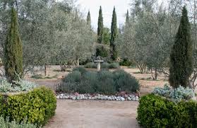 The Darling Of Pasadena Arlington Garden Garden Tours Garden Arlington