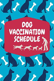 Dogs, cats and ferrets over 12 weeks of age are vaccinated at these clinics. Dog Vaccination Schedule Vaccine Record Book For Dogs Health Log Book Vaccination Reminder Complete Puppy And Dog Immunization Schedule And Record Books Holly 9798665092638 Amazon Com Books