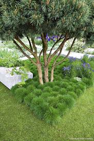 Les Plantes A Installer Sous Les Arbres Idees Jardin Jardin D Ombre Jardins