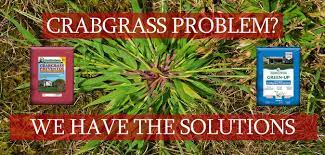 This video will teach you both pre and post emergent strategies on how to kill crabgrass without killing the. Crabgrass Problem Goffle Brook Farms