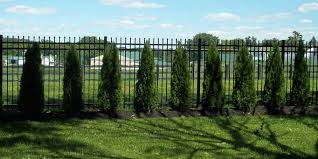 Check spelling or type a new query. Economical Privacy Fence Ideas Styling Options Smucker Fencing Blog