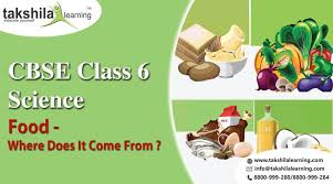 Ncert Solutions For Class 6 Science Food Where Does It Come From Science Things To Come Class