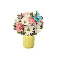 Daisy Garden In Mason Jar Same Day Flower Delivery Mothers Day Flowers Flower Delivery