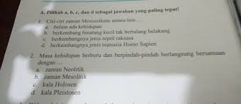 C) zaman mesolitik,neolitik,dan paleolitik d) zaman neolitik,mesolitik dan paleolitik 9) lokasi umum zaman prasejarah: A Pilihah A B E Dan D Sebagai Jawaban Yang Paling Tepat J Zi Ciri Zaman Mesozoikum Antara Lain Brainly Co Id