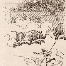PDF) Records of the Rhinoceros in Captivity in Baroda