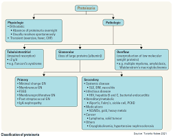 Image result for Isolated Proteinuria