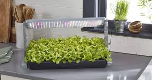 Grow lights can even be used for the production of food on a commercial but the question is; The 8 Best Indoor Grow Lights For Your Houseplants Purewow