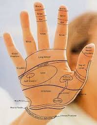Hand Reflexology Charts Tips For A Good Reflexology Hand
