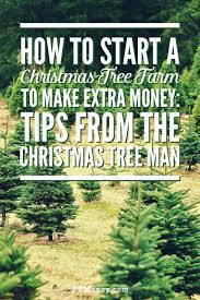 Starting a christmas tree farm business requires careful planning an expert management team to oversee and coordinate business activities. 10 Tips To Start A Christmas Tree Farm To Make Money Pt Money