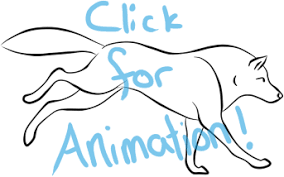 You'll also like these coloring pages of the gallery wolves. Animations On Powerfulwolfie Deviantart
