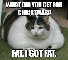 Pin On Lol Funny Memes