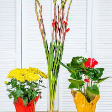 Offers an abundance of seasonal floral varieties throughout the year. United Wholesale Flowers 620 Photos 81 Reviews Wholesale Stores 2510 Channing Ave San Jose Ca Phone Number Yelp