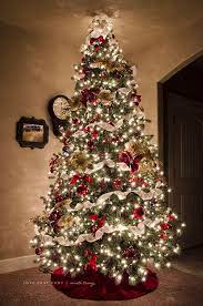 Visit one of the cozy christmas markets, admire the decorated houses on a dyker heights tour and enjoy the rockettes at the radio city christmas spectacular. 3 Tips For Capturing The Holiday Season In Photos Beautiful Christmas Beautiful Christmas Trees Traditional Christmas Tree