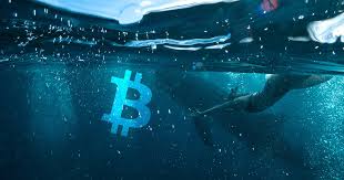 Want to calculate potential profit and loss levels on an options strategy? New Glassnode Metric Calculates Profit Loss For Moved Bitcoin Whales Seen Stacking Up On Btc Cryptoslate