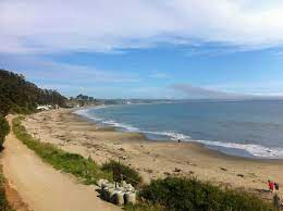 New Brighton State Beach In Capitola Ca Santacruzcamping Beach New Brighton Santa Cruz Camping