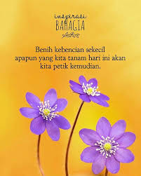Benih Kebencian Sekecil Apapun Yang Kita Tanam Hari Ini Akan Kita Petik Kemudian Inspirasibahagia Bahagia Happy Quotes Kutipan Rohani Inspirasi Bahagia