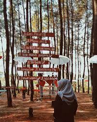 Maybe you would like to learn more about one of these? Wisata Alam Hutan Pinus Di Sumber Putih Wajak Kanalmalang Net