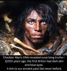 Found this Cave Spider, 30/6/2022, in a limestone cave. Because it was in  South Cumbria I assume it must be Meta menardi ? As well as having a  formidable pair of fangs,