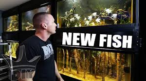 The diy plywood fish tank is done! My Discus And Angelfish Aquariums Hydroculture Global