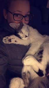 Is anyone missing a sweet unfixed cat near Holmes St?