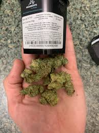 She is fast and will b ready for harvest sooner than you think. Grassroots Garlic Cookies 37 3 Mdents