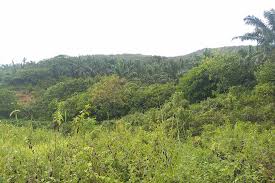 Minggu lepas, aku dengan team hikers naik bukit tok dun. Visit Perlis Bukit Tok Dun