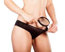 Die Vagina Das Zentrum Der Lust