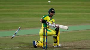 Two sets of three sticks, called wickets, are set in the ground at each end of the pitch. Nookjfaqcbwdmm