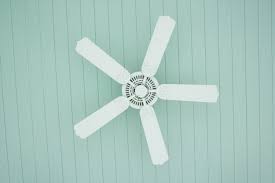 Put Your Ceiling Fan On Reverse Ceiling Fans Without Lights Cleaning Ceiling Fans Ceiling Fan Blades