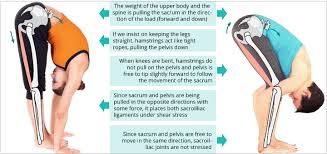 Pin On Yoga Poses