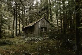 Anything with those two involved and you're definitely going to see something unique. Small Deserted Cabin In The Woods Stock Photo Offset