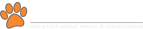 Maybe you would like to learn more about one of these? Second Chance Rescue Rehoming Gainesville Florida