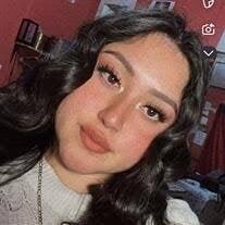 Yesenia Ramirez Martinez Obituary and Online Memorial (2025)