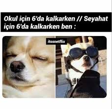 Nezaket Onder Adli Kullanicinin Egleniyoruz Iste Shchshzhdhdhd Panosundaki Pin 2020