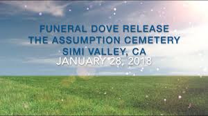 It is a global event that unites communities to celebrate survivors, remember loved ones lost, raise awareness as well as on the counter. Ernie S Doves Release Simi Valley Past Events