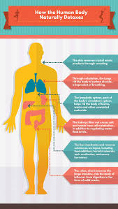 Of food to aid in chemical digestion. Benefits Of Yoga Practice During A Detoxification Program