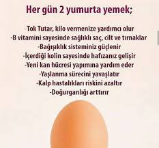 Hanife Kaml Adli Kullanicinin Zayiflama Ve Saglik Icin Oneriler Panosundaki Pin Yumurta Saglikli Beslenme Yemek