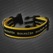 Dog Collar Moe0 Moe Band Merch Dog Collar Band