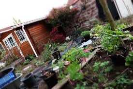 Der traum eines jeden gartenliebhabers: Was Kostet Es Einen Garten Anzulegen Muhvie De Garten Balkon Genuss