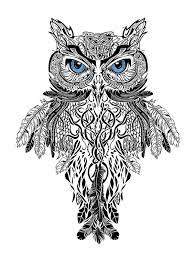 epingle par mary kirby sur owl hibou dessin tatouage hiboux chouette coloriage de lion