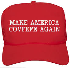 Image result for make america great idiot image